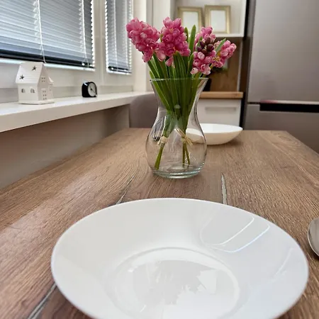 Modern Stylish דירה