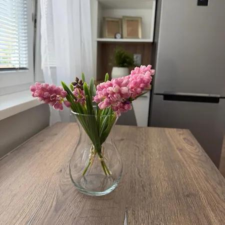 Modern Stylish * Прьевидза